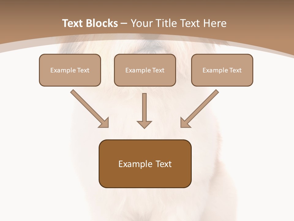 A Dog Sitting Next To A Bowl Of Food PowerPoint Template
