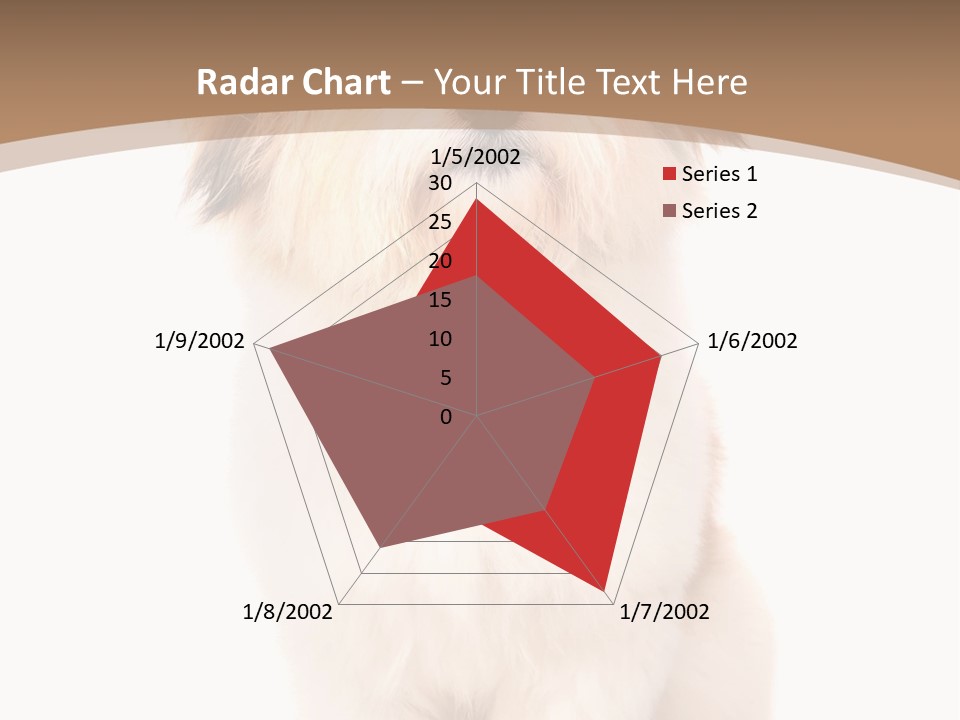 A Dog Sitting Next To A Bowl Of Food PowerPoint Template