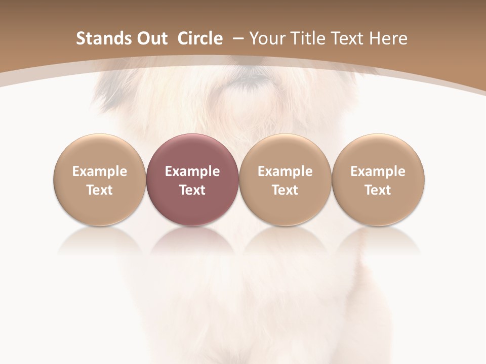 A Dog Sitting Next To A Bowl Of Food PowerPoint Template