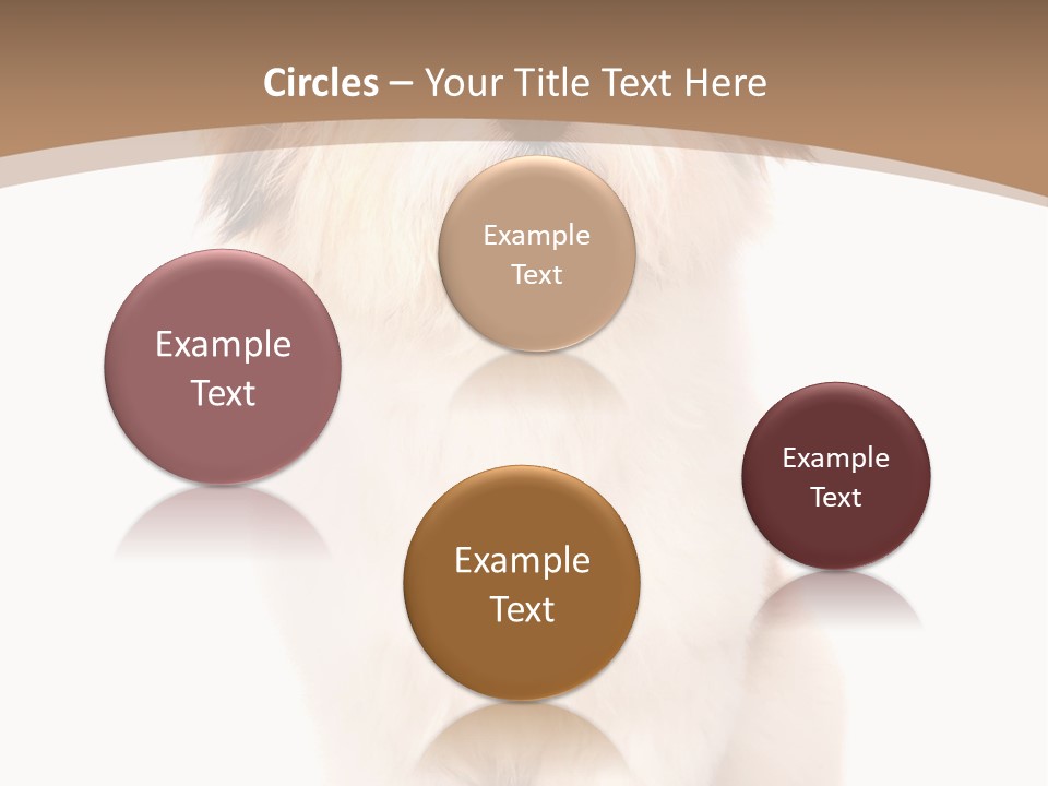 A Dog Sitting Next To A Bowl Of Food PowerPoint Template