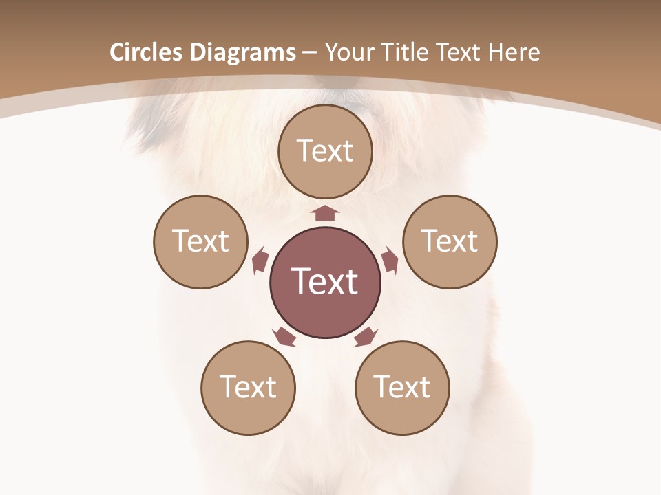 A Dog Sitting Next To A Bowl Of Food PowerPoint Template