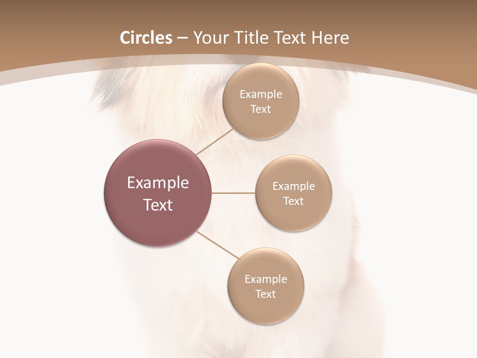 A Dog Sitting Next To A Bowl Of Food PowerPoint Template