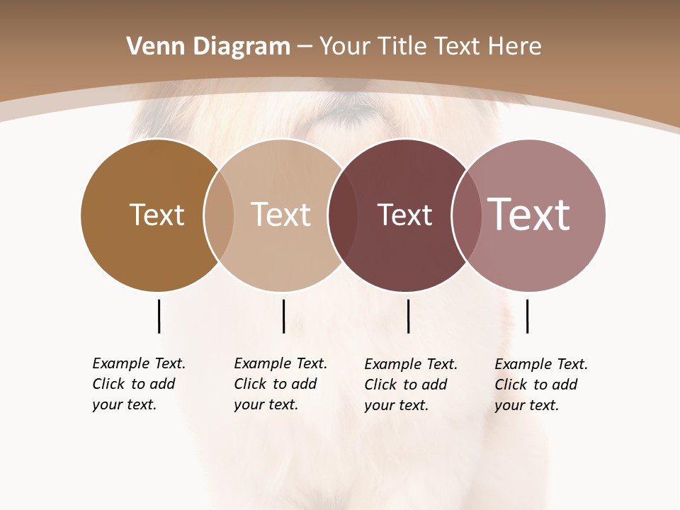 A Dog Sitting Next To A Bowl Of Food PowerPoint Template
