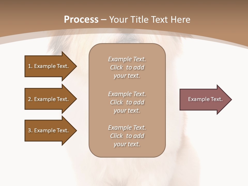A Dog Sitting Next To A Bowl Of Food PowerPoint Template