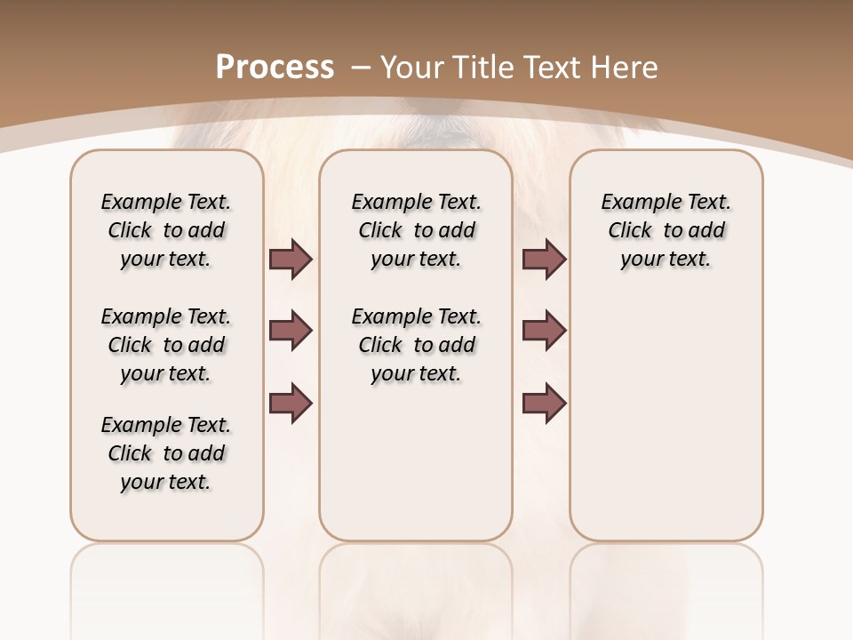 A Dog Sitting Next To A Bowl Of Food PowerPoint Template