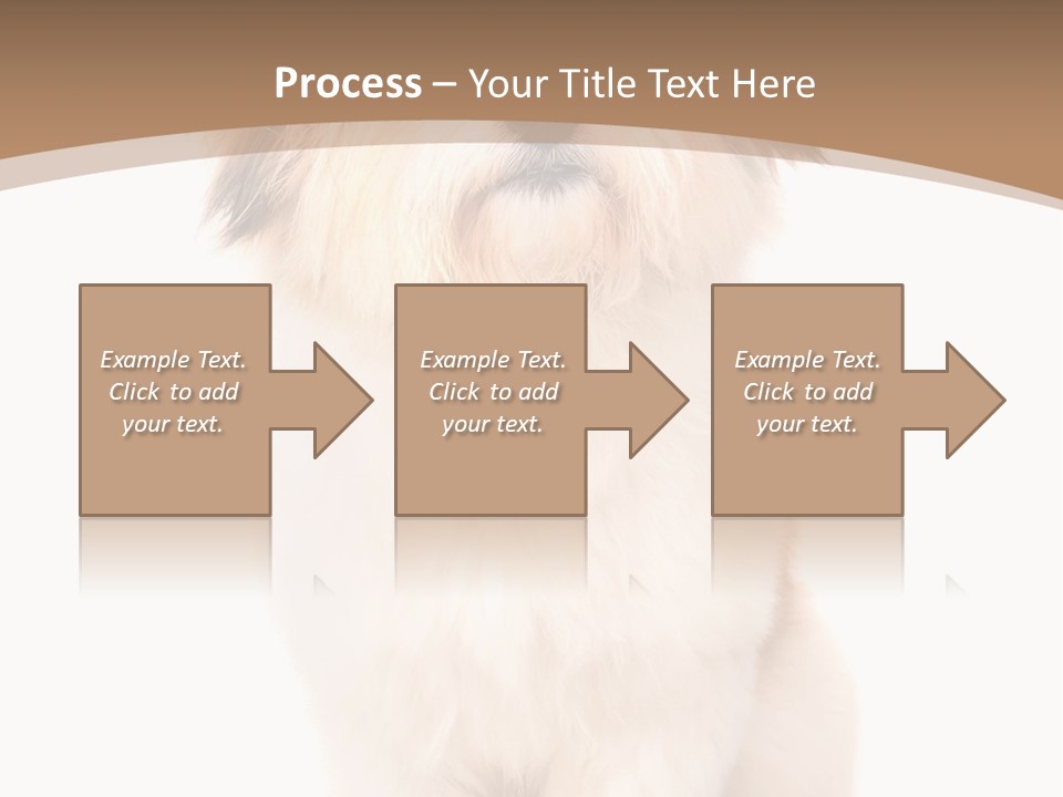 A Dog Sitting Next To A Bowl Of Food PowerPoint Template