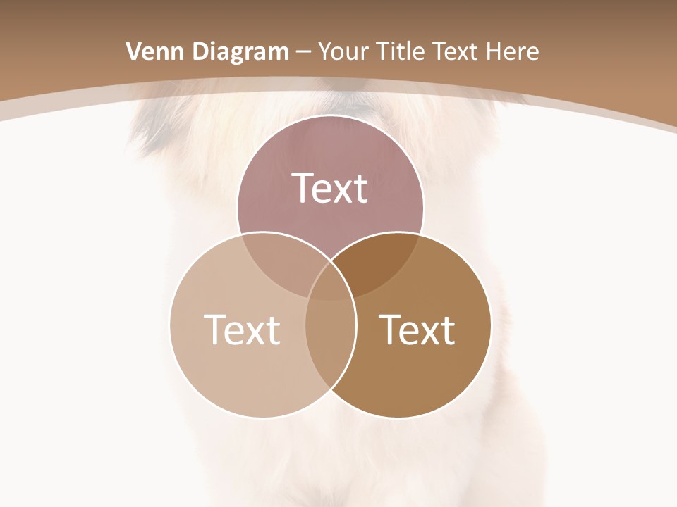 A Dog Sitting Next To A Bowl Of Food PowerPoint Template