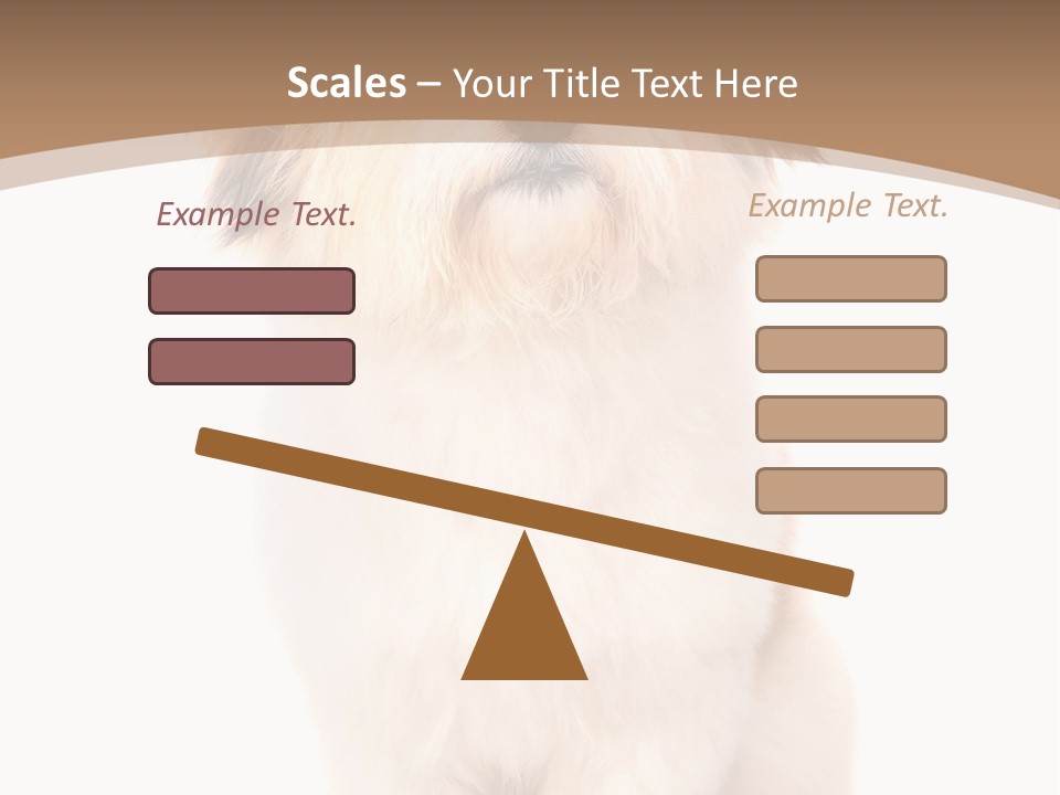 A Dog Sitting Next To A Bowl Of Food PowerPoint Template