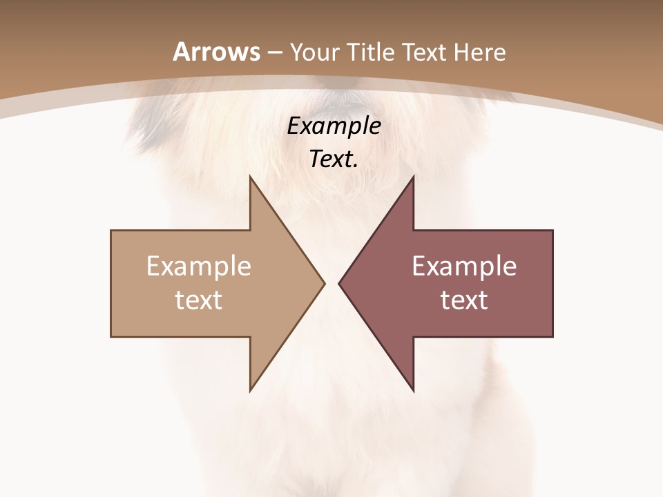 A Dog Sitting Next To A Bowl Of Food PowerPoint Template