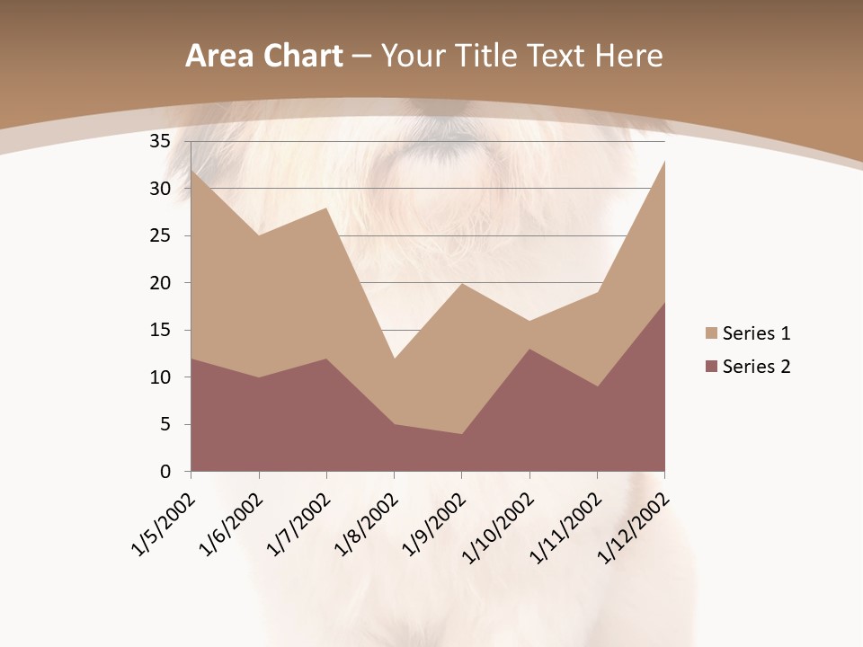 A Dog Sitting Next To A Bowl Of Food PowerPoint Template