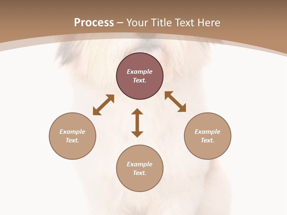 A Dog Sitting Next To A Bowl Of Food PowerPoint Template