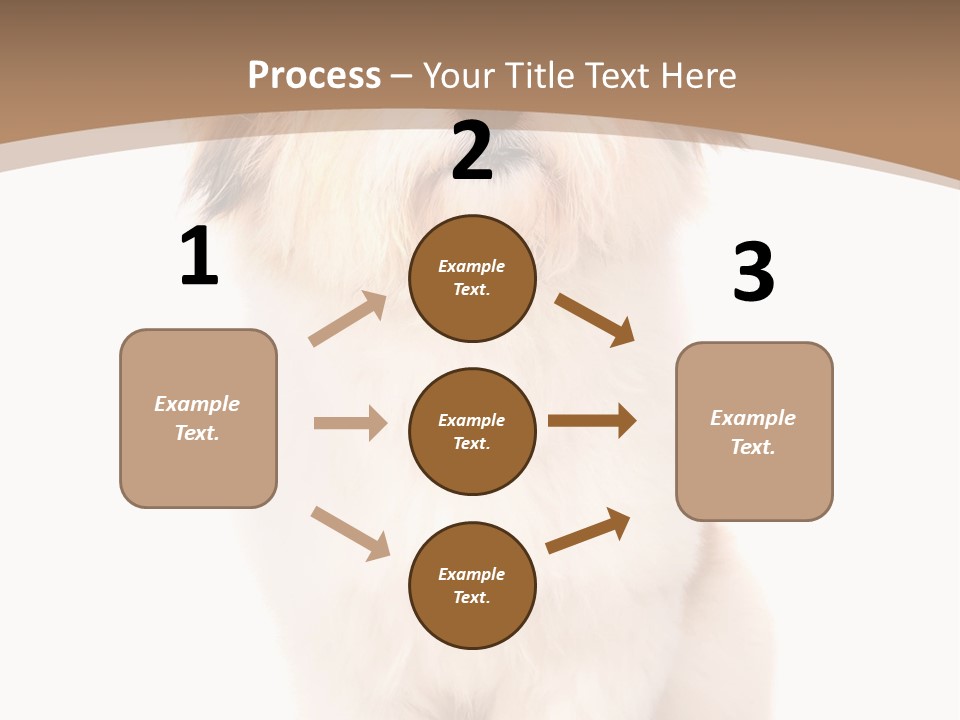 A Dog Sitting Next To A Bowl Of Food PowerPoint Template