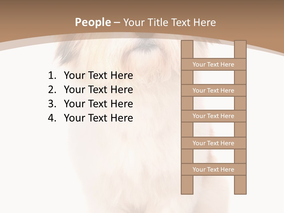 A Dog Sitting Next To A Bowl Of Food PowerPoint Template