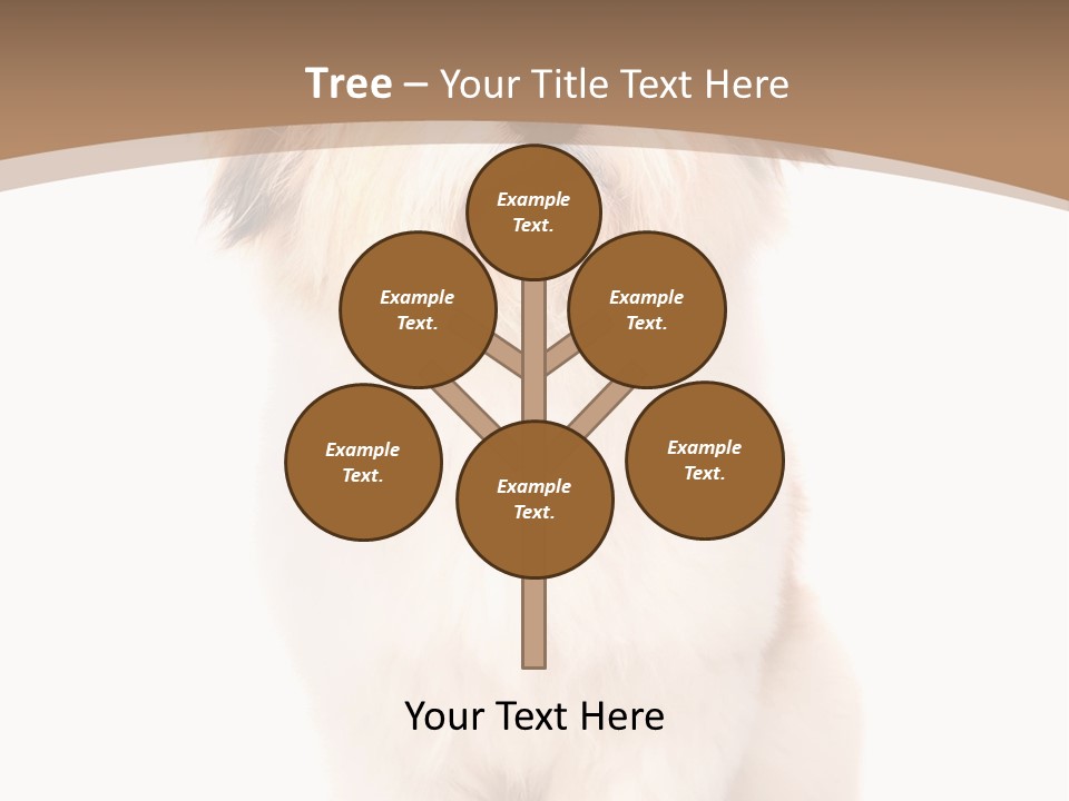 A Dog Sitting Next To A Bowl Of Food PowerPoint Template