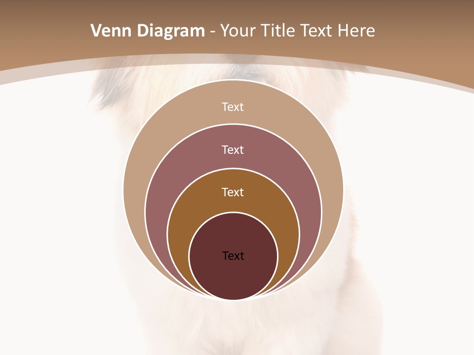 A Dog Sitting Next To A Bowl Of Food PowerPoint Template