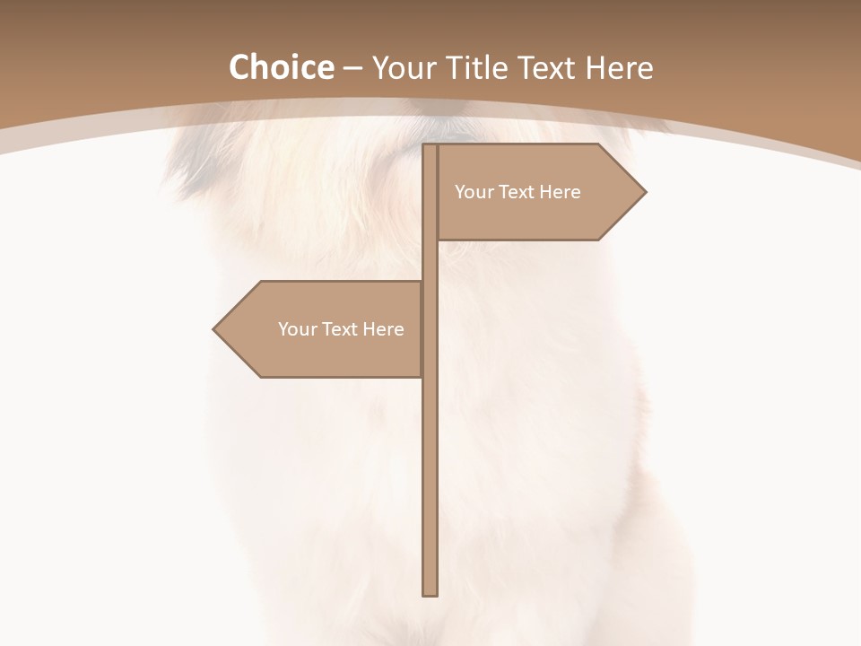 A Dog Sitting Next To A Bowl Of Food PowerPoint Template