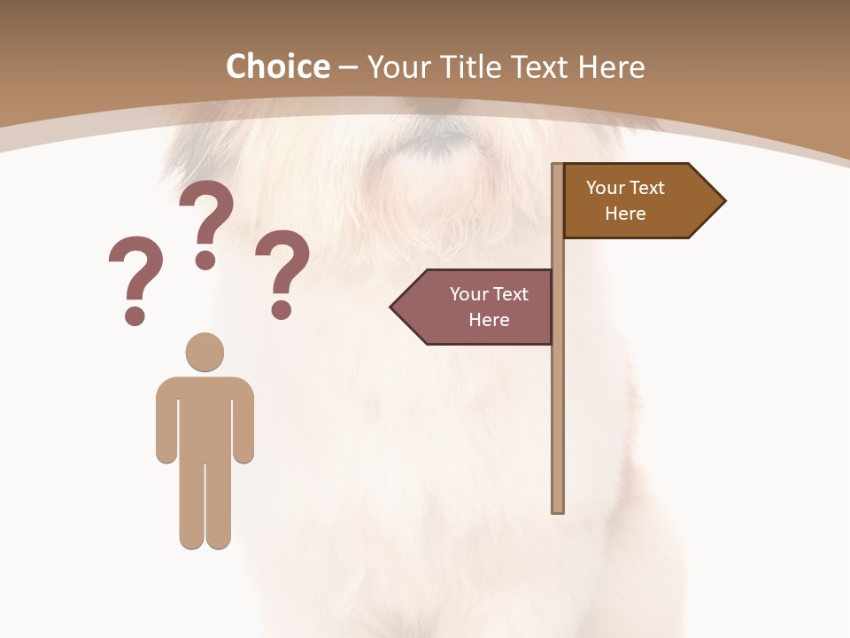 A Dog Sitting Next To A Bowl Of Food PowerPoint Template