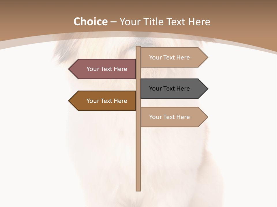 A Dog Sitting Next To A Bowl Of Food PowerPoint Template