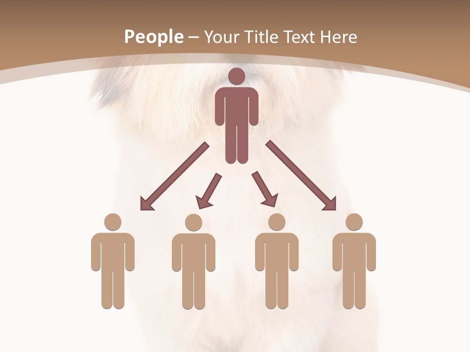 A Dog Sitting Next To A Bowl Of Food PowerPoint Template