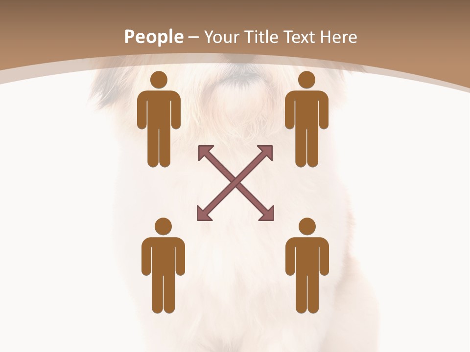 A Dog Sitting Next To A Bowl Of Food PowerPoint Template