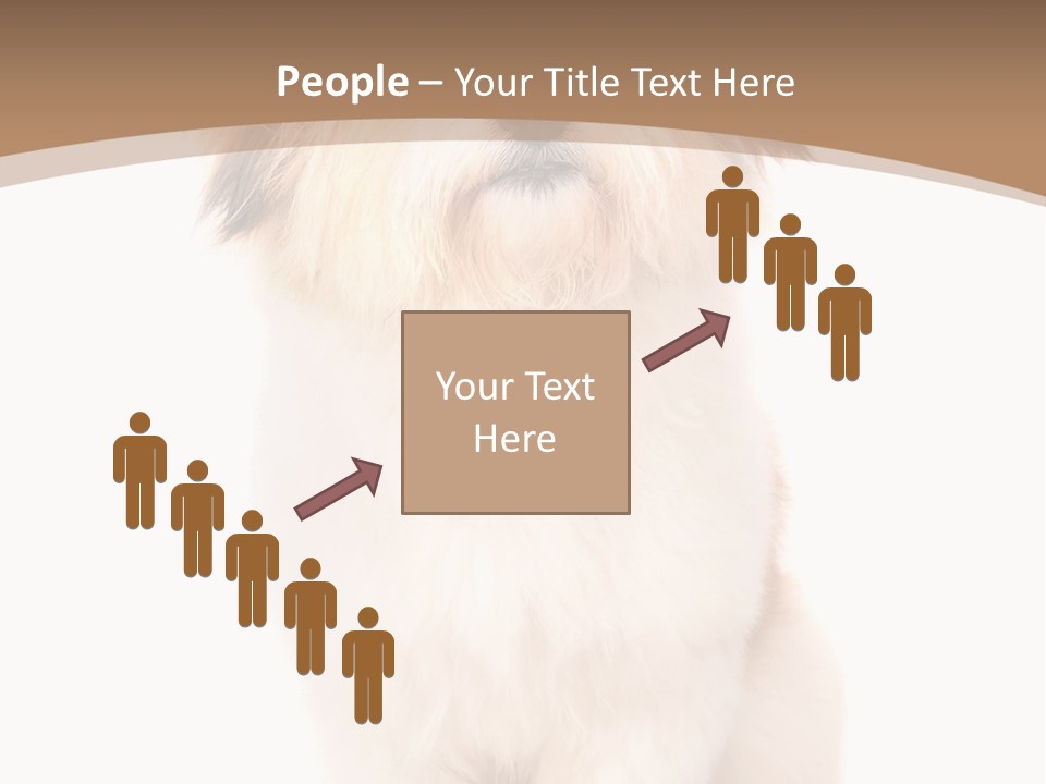 A Dog Sitting Next To A Bowl Of Food PowerPoint Template