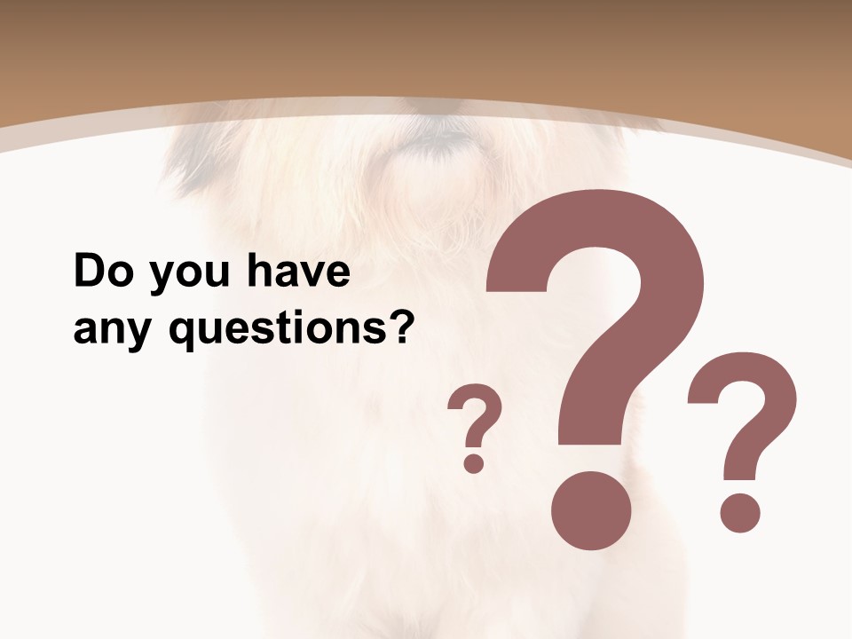 A Dog Sitting Next To A Bowl Of Food PowerPoint Template