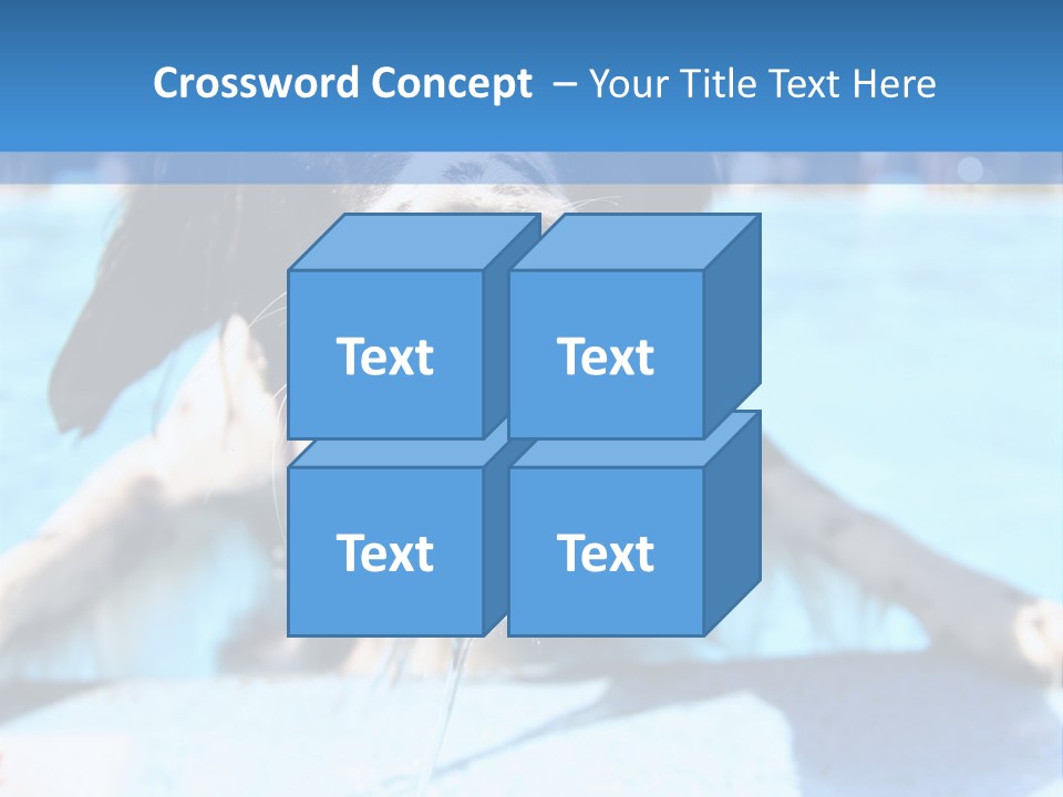 A Black And White Dog Holding A Tennis Ball In Its Mouth PowerPoint Template