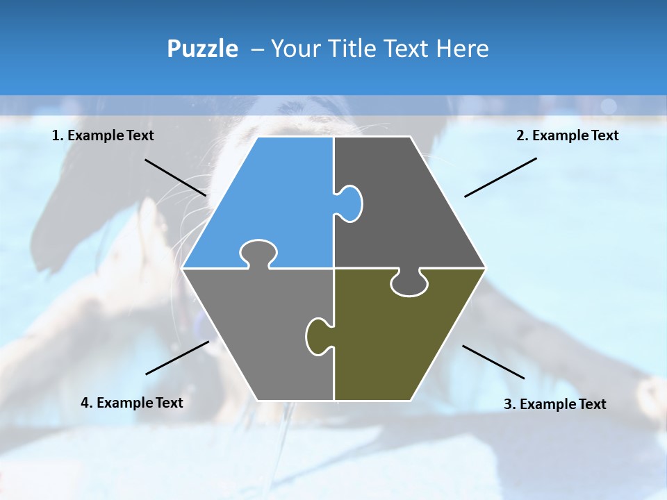 A Black And White Dog Holding A Tennis Ball In Its Mouth PowerPoint Template