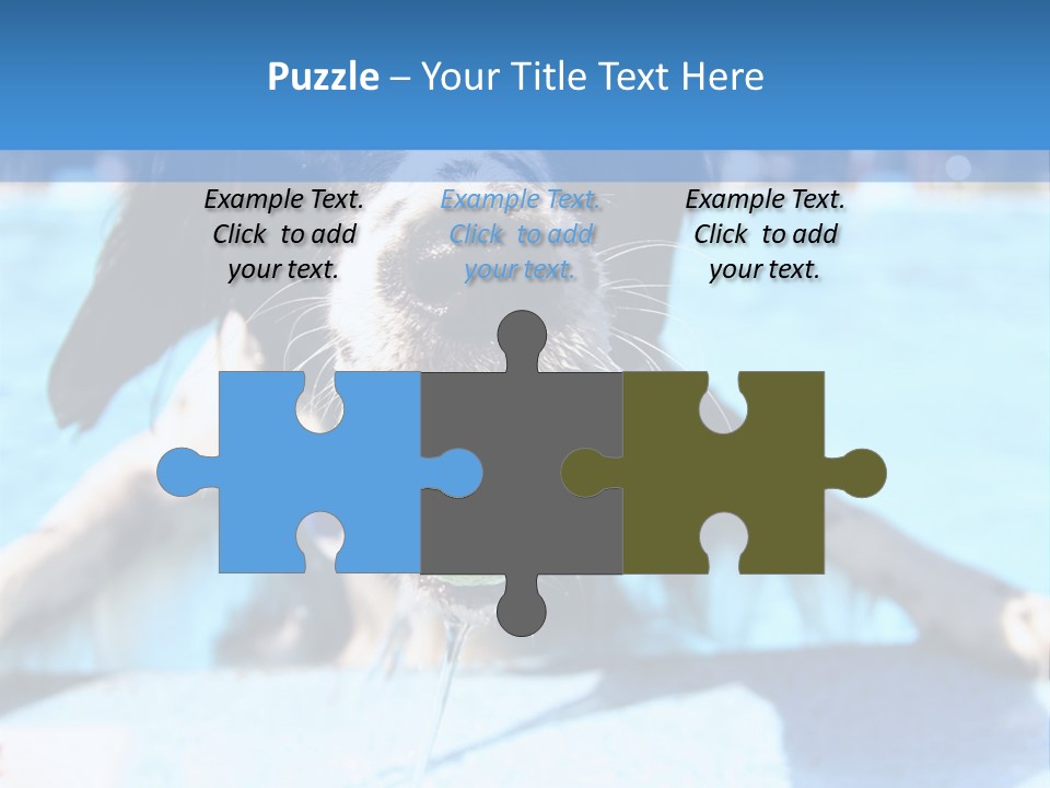 A Black And White Dog Holding A Tennis Ball In Its Mouth PowerPoint Template