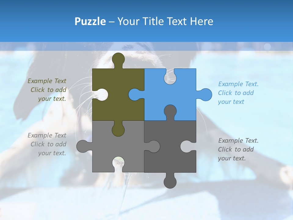 A Black And White Dog Holding A Tennis Ball In Its Mouth PowerPoint Template