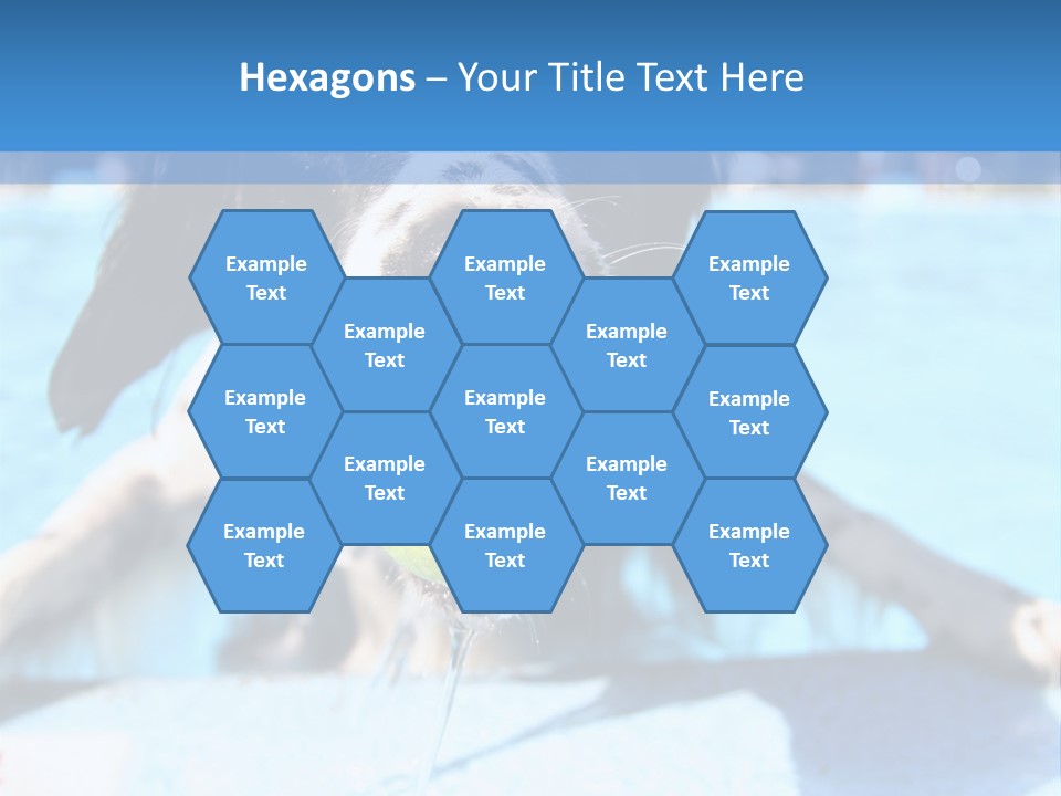 A Black And White Dog Holding A Tennis Ball In Its Mouth PowerPoint Template