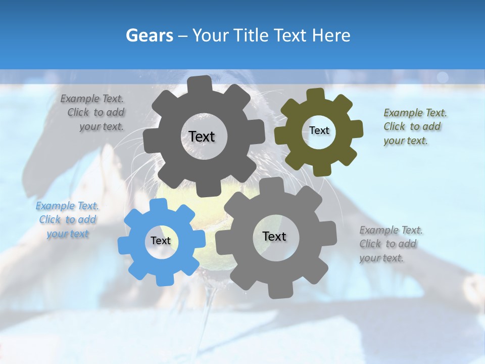 A Black And White Dog Holding A Tennis Ball In Its Mouth PowerPoint Template