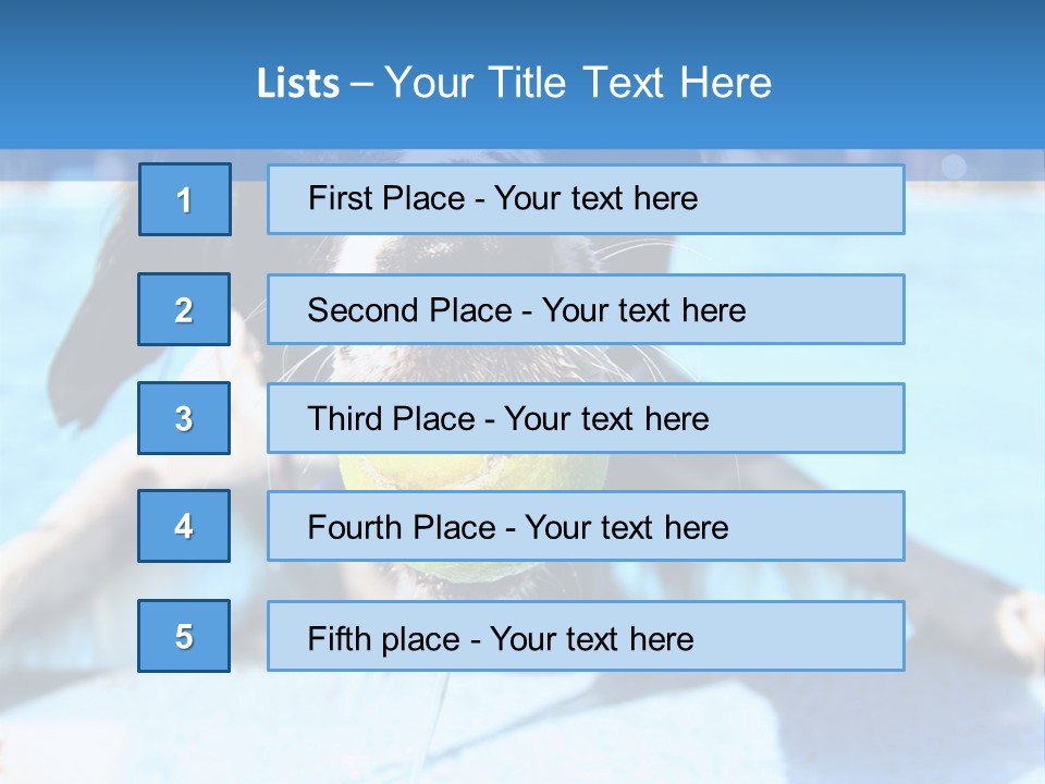 A Black And White Dog Holding A Tennis Ball In Its Mouth PowerPoint Template