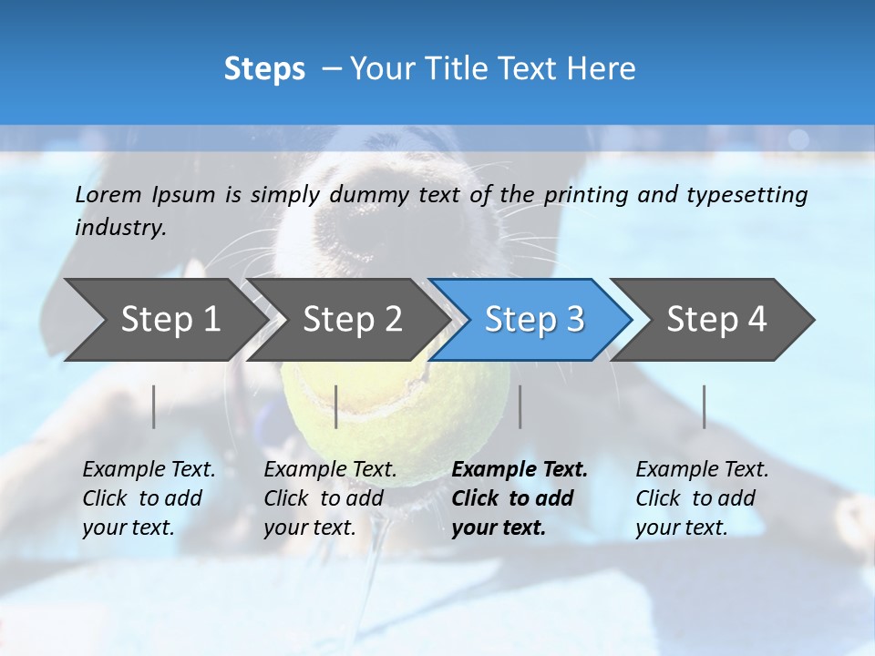 A Black And White Dog Holding A Tennis Ball In Its Mouth PowerPoint Template