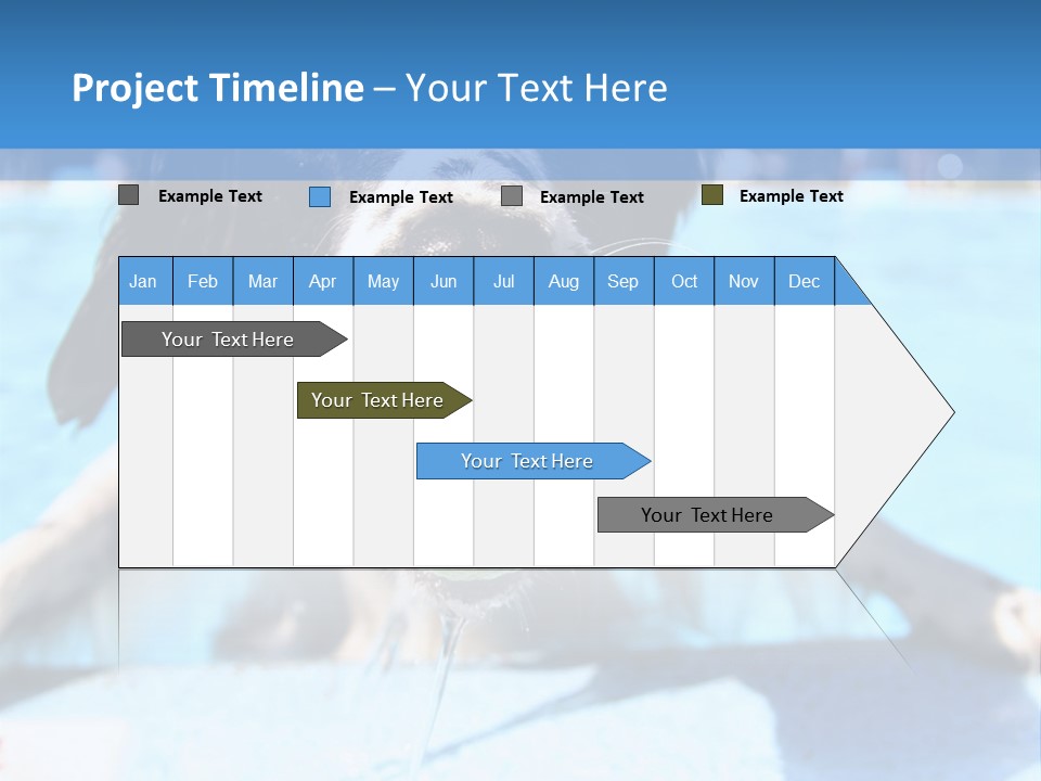 A Black And White Dog Holding A Tennis Ball In Its Mouth PowerPoint Template