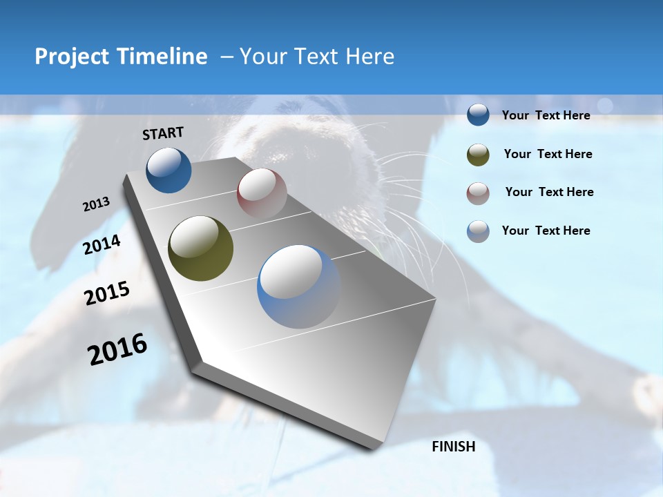 A Black And White Dog Holding A Tennis Ball In Its Mouth PowerPoint Template