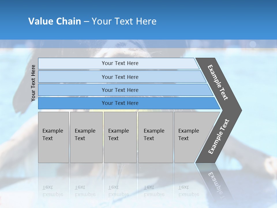 A Black And White Dog Holding A Tennis Ball In Its Mouth PowerPoint Template