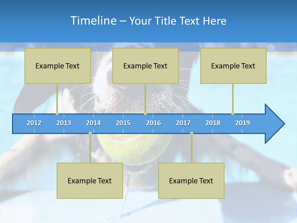 A Black And White Dog Holding A Tennis Ball In Its Mouth PowerPoint Template