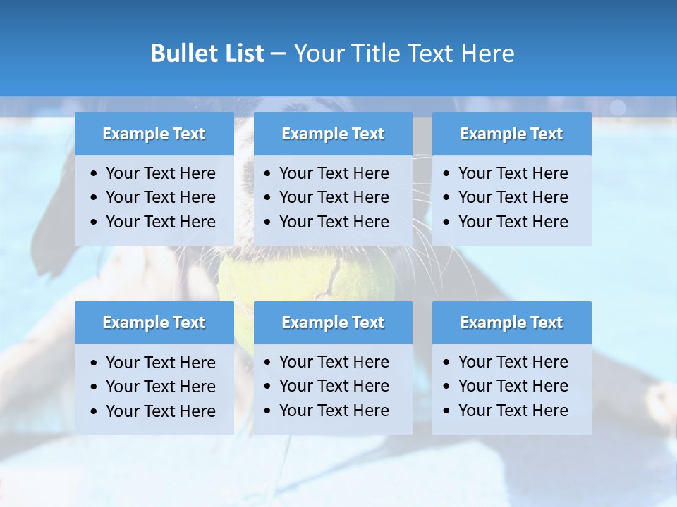 A Black And White Dog Holding A Tennis Ball In Its Mouth PowerPoint Template