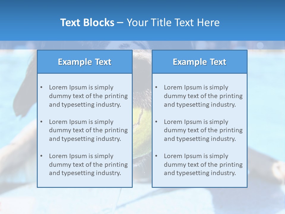 A Black And White Dog Holding A Tennis Ball In Its Mouth PowerPoint Template