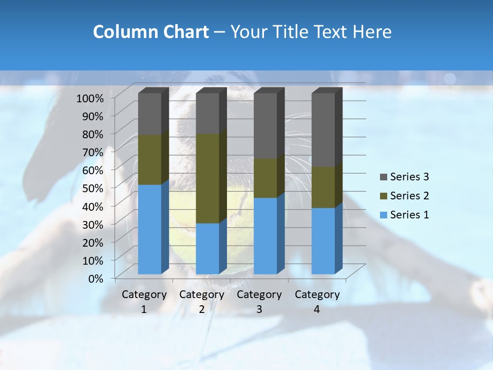 A Black And White Dog Holding A Tennis Ball In Its Mouth PowerPoint Template