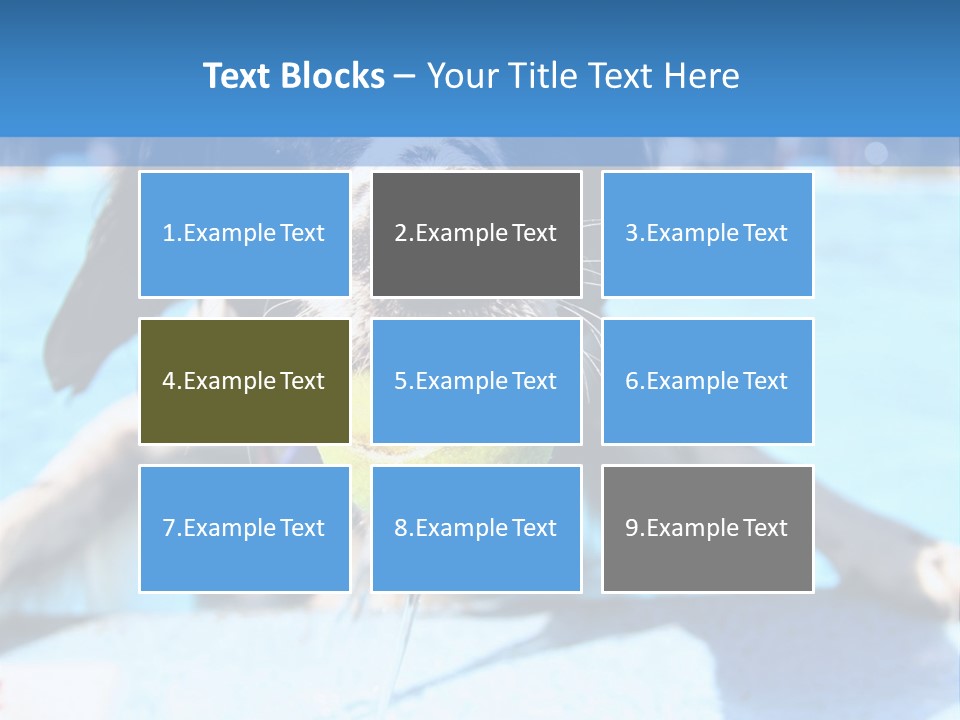 A Black And White Dog Holding A Tennis Ball In Its Mouth PowerPoint Template