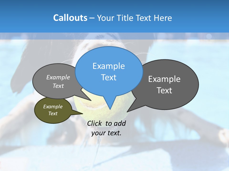 A Black And White Dog Holding A Tennis Ball In Its Mouth PowerPoint Template