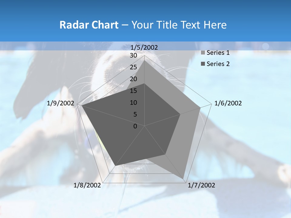A Black And White Dog Holding A Tennis Ball In Its Mouth PowerPoint Template
