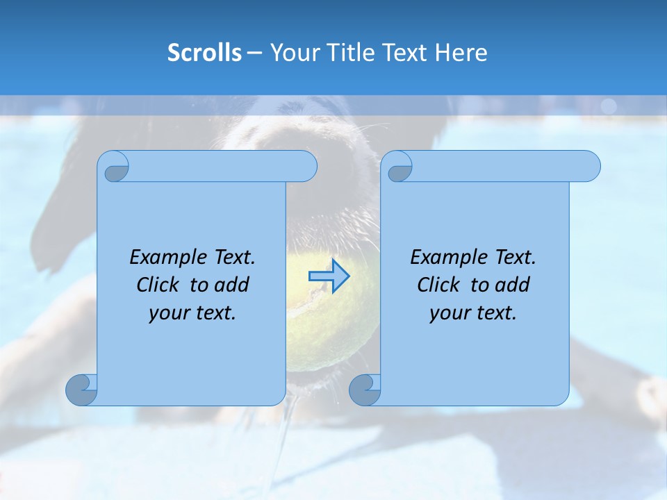 A Black And White Dog Holding A Tennis Ball In Its Mouth PowerPoint Template