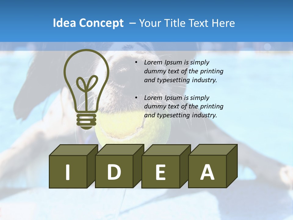 A Black And White Dog Holding A Tennis Ball In Its Mouth PowerPoint Template