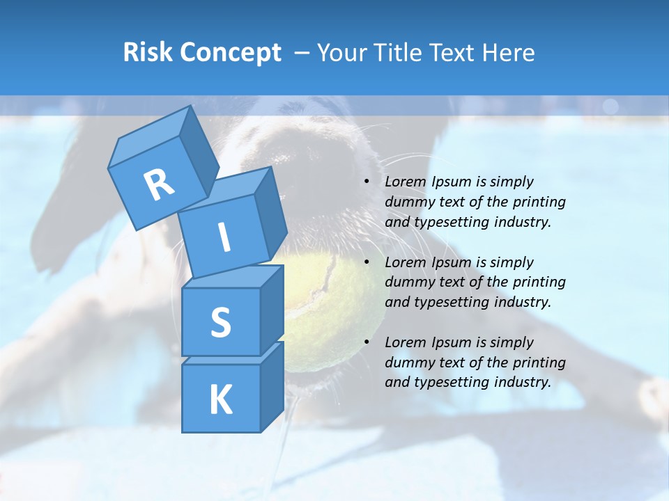 A Black And White Dog Holding A Tennis Ball In Its Mouth PowerPoint Template