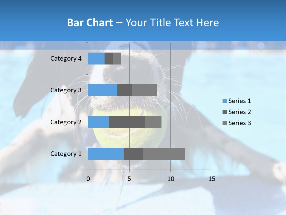 A Black And White Dog Holding A Tennis Ball In Its Mouth PowerPoint Template