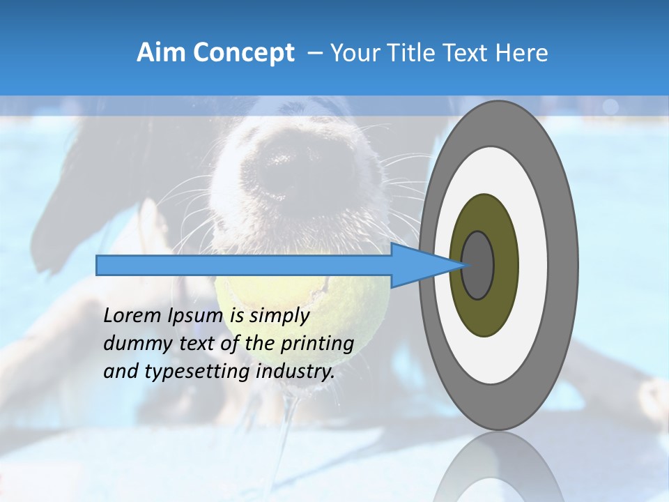 A Black And White Dog Holding A Tennis Ball In Its Mouth PowerPoint Template