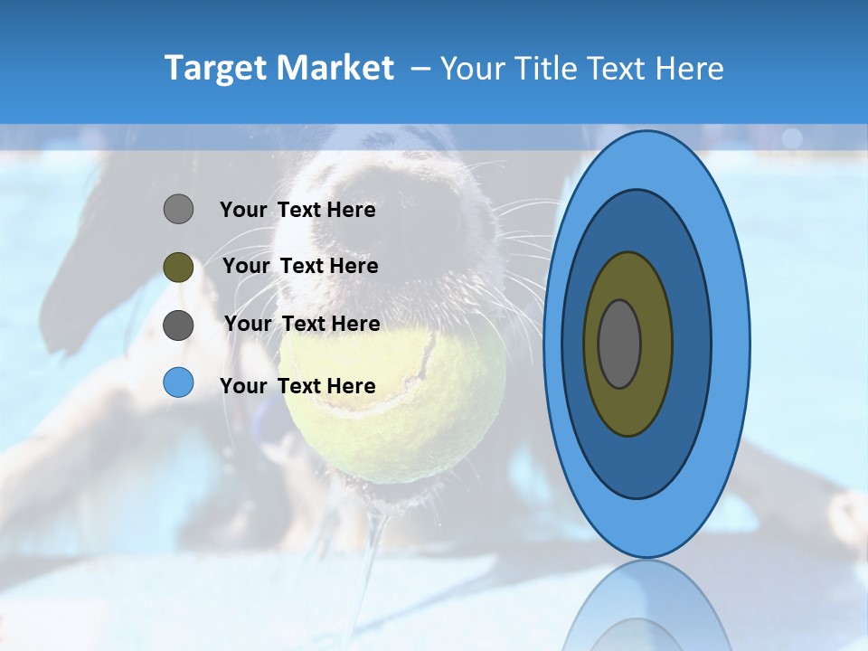 A Black And White Dog Holding A Tennis Ball In Its Mouth PowerPoint Template